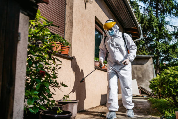 Best Affordable Pest Control Services  in Chisholm, ME