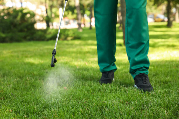 Best Emergency Pest Control  in Chisholm, ME