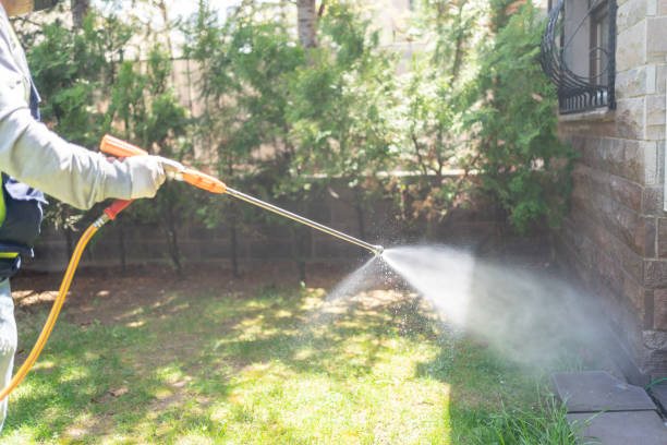  Chisholm, ME Pest Control Pros