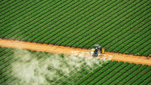 Best Mosquito Control Services  in Chisholm, ME