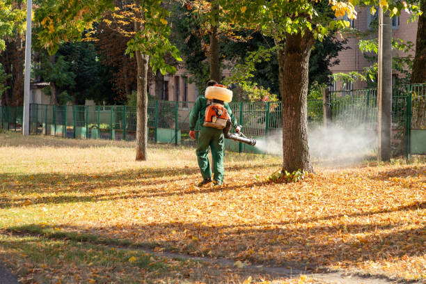 Best Best Pest Control Companies  in Chisholm, ME