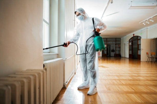 Best Residential Pest Control  in Chisholm, ME
